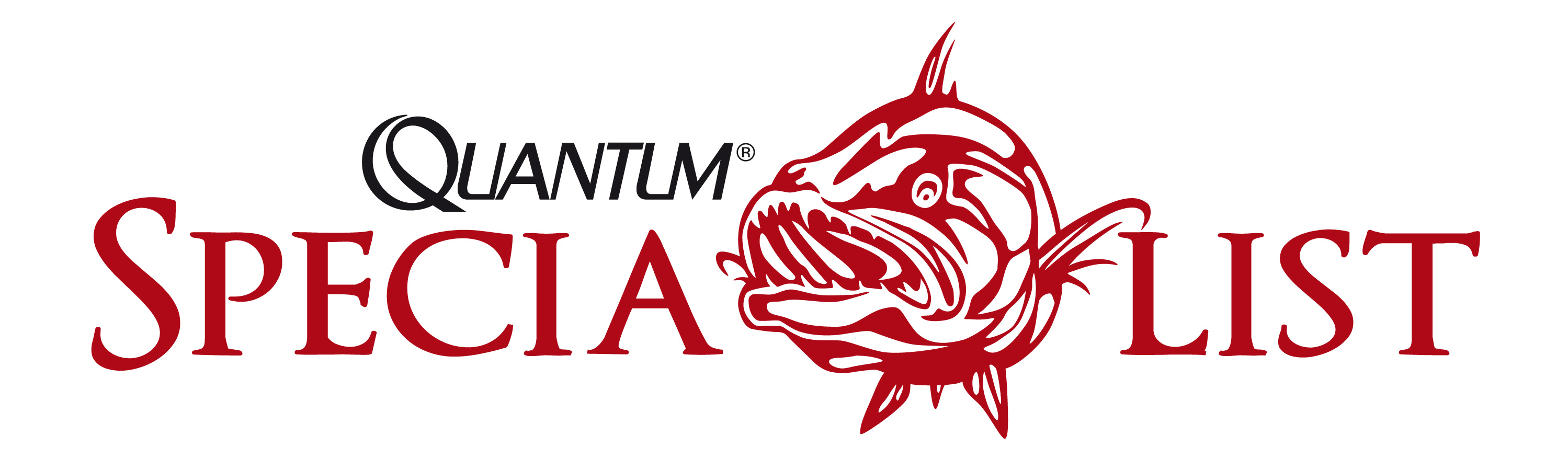 quantum specialist logo